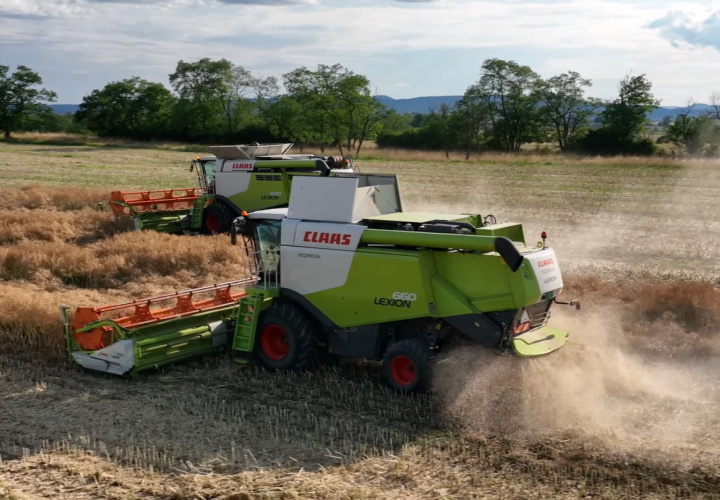 Žatva repky s rekordnou úrodou 2025|Keď sa poctivosť vráti v úrode